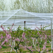 La red de pájaros del jardín mantiene alejados a los pájaros